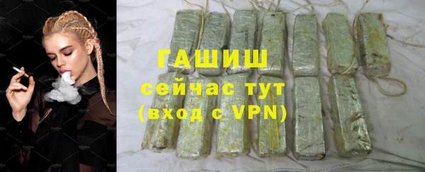 индика Переславль-Залесский
