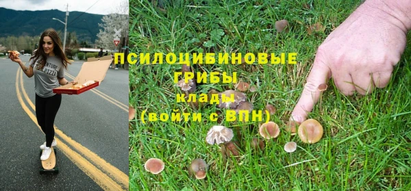 прущая мука Покровск