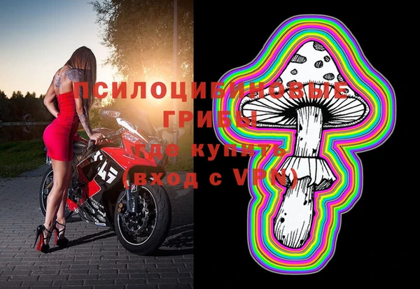 индика Переславль-Залесский